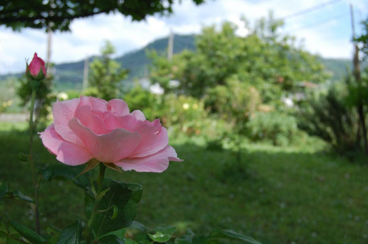 베베리노 La Torretta 아파트 외부 사진